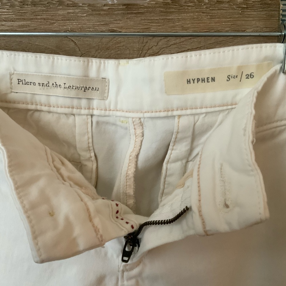 Anthropologie Chinos